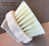 Paste Application Brush Head (Synthetic Plastic Fill) (Individual)